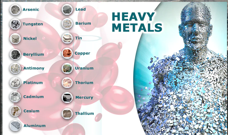 انواع فلزات سنگین مضر برای بدن انسان
